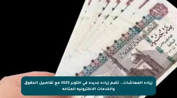 زيادة المعاشات.. تضم زيادة جديدة في أكتوبر 2025 مع تفاصيل الحقوق والخدمات الإلكترونية المتاحة
